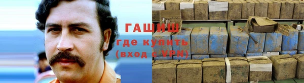 спайс Ладушкин