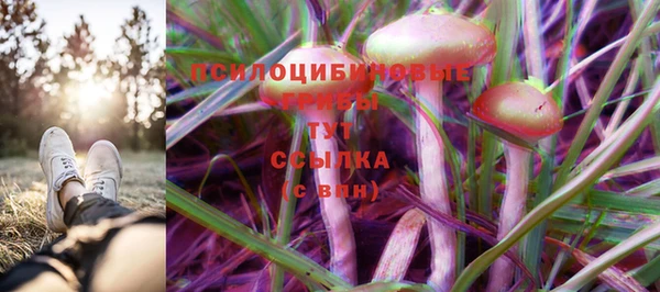 мяу мяу мука Лабытнанги
