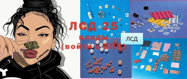 мяу мяу мука Лабытнанги