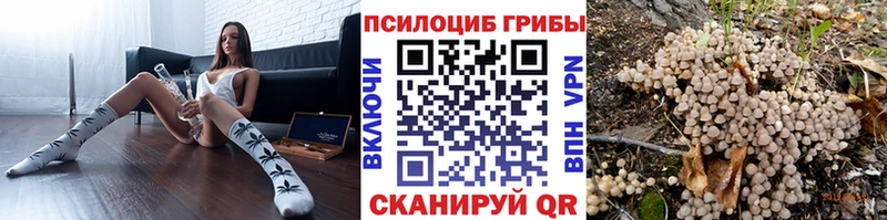 Купить  Пионерский  Галлюциногенные грибы мицелий 